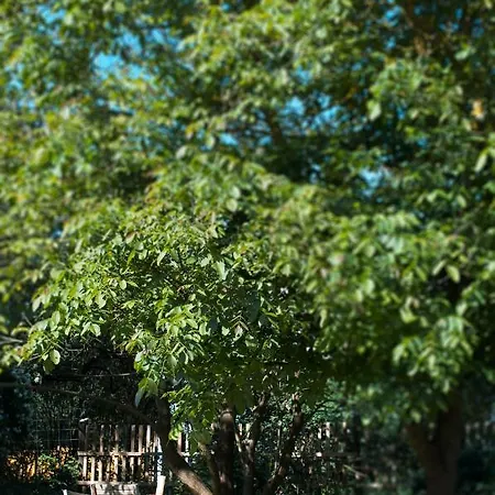 Сasa de vacaciones Anna Porta *